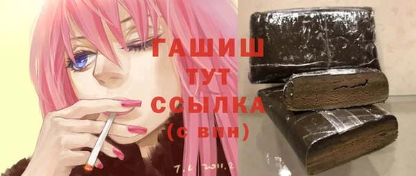 стаф Гусь-Хрустальный