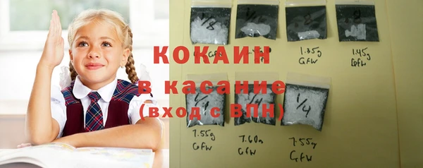 соль ск Алзамай