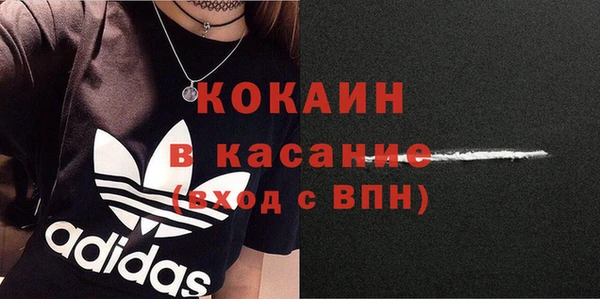 соль ск Алзамай