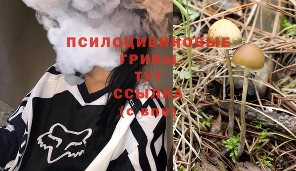 соль ск Алзамай